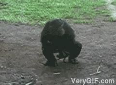 Masturbating GIFs: 60+ Best Masturbation GIF .